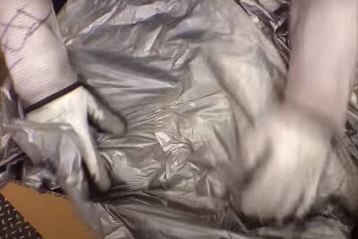 Packing Foam Services